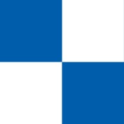 Royal and White Check